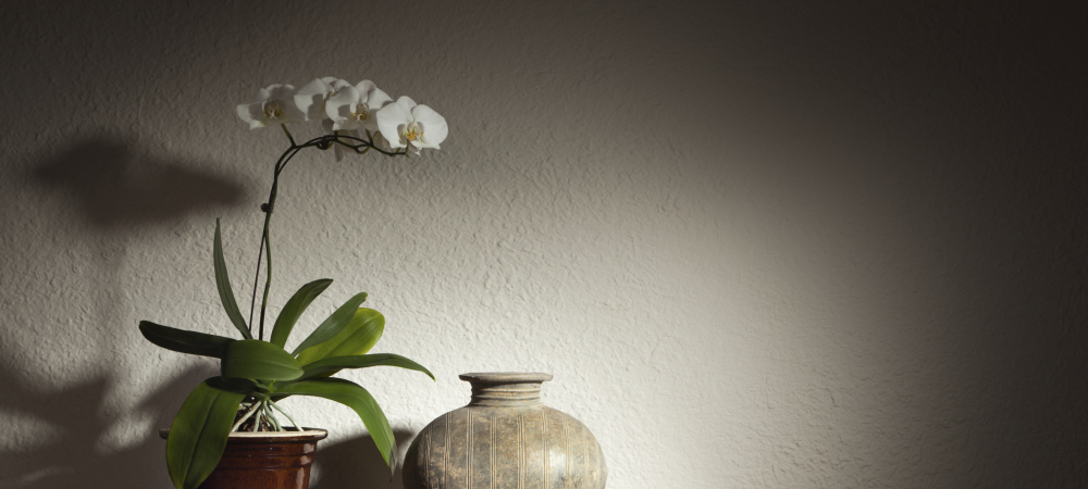 Chinesische Vase mit Orchidee