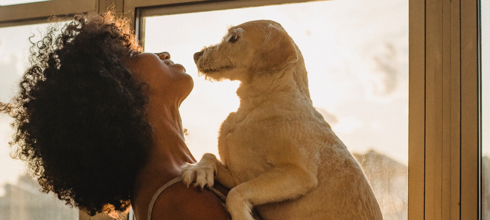 Frau steht am Fenster mit Hund auf dem Arm