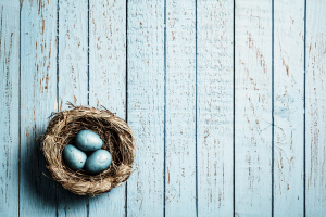 Blaue Ostereier Nest