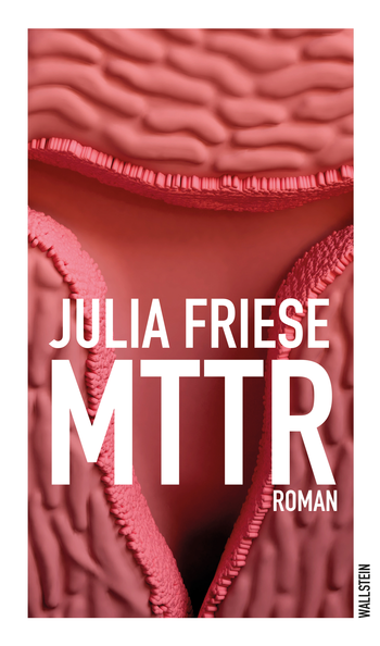 Julia Friese - "MTTR", erschienen im Wallstein Verlag