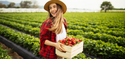 Frau mit Korb voller Erdbeeren auf dem Feld