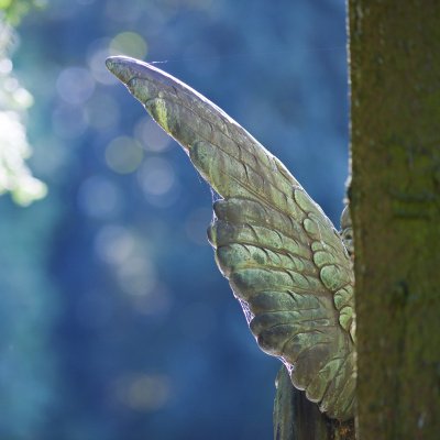 Flügel einer Engelstatue hinter einem Baum