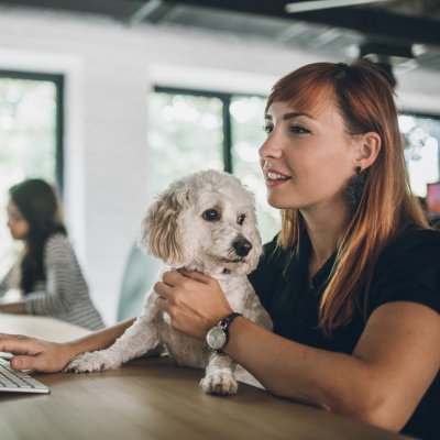 Hund im Büro: Mit diesen Tipps klappt es auf der Arbeit