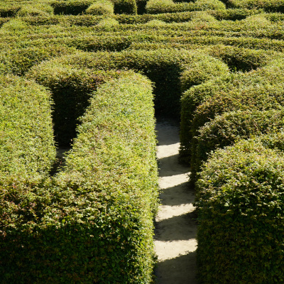 Grünes Labyrinth: Auf der Suche nach der besten nachhaltigen Anlagestrategie
