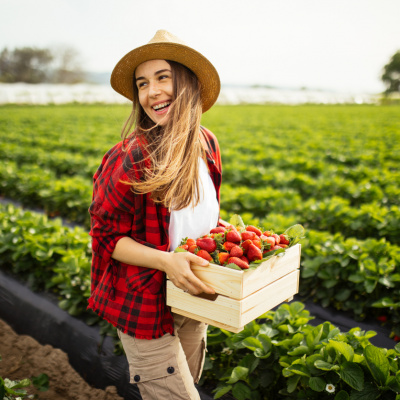 Frau mit Korb voller Erdbeeren auf dem Feld